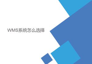 wms系統怎么選擇？